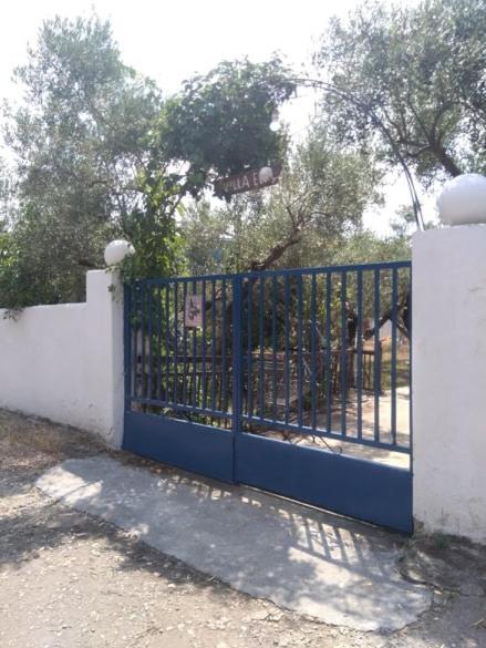 Villa Elli Metokhion Agios Grigoriou Exterior foto